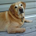 Miguel's Mexican & American Restaurant